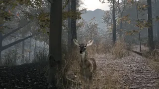 Скриншот 8 к игре Pro Deer Hunting 2