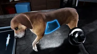Скриншот 2 к игре Veterinary Clinic Simulator