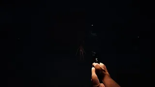 Скриншот 4 к игре Chased by Darkness