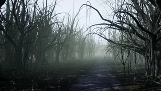 Скриншот 1 к игре Invisible