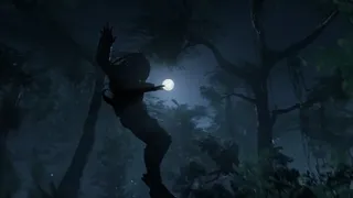 Скриншот 1 к игре Predator: Hunting Grounds