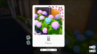 Скриншот 2 к игре Shashingo: Learn Japanese with Photography