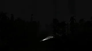 Скриншот 5 к игре Dark Harvest