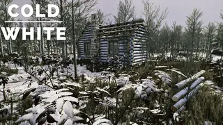 Скриншот 1 к игре The Cold White