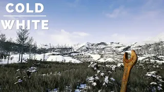 Скриншот 4 к игре The Cold White