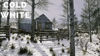 Скриншот 8 к игре The Cold White