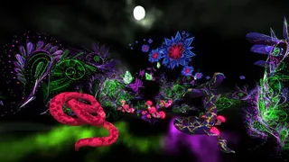 Скриншот 1 к игре Colibri XR Immersive Art Gallery