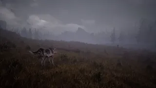 Скриншот 5 к игре Wandering Wolf
