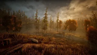 Скриншот 6 к игре Wandering Wolf