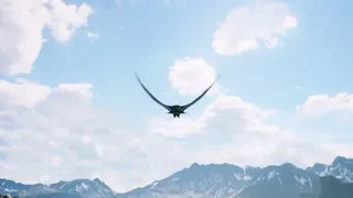 Скриншот 4 к игре FREEDOM: Hunt Kill Fly