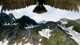 Скриншот 5 к игре FREEDOM: Hunt Kill Fly