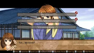 Скриншот 8 к игре Bakumatsu Renka SHINSENGUMI