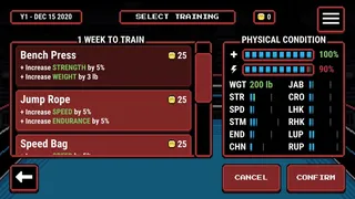 Скриншот 5 к игре Prizefighters 2