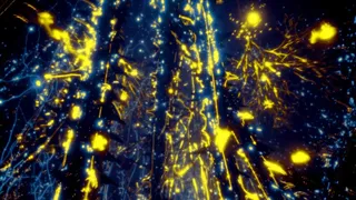 Скриншот 6 к игре Secrets Of Soil