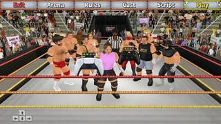 Скриншот 2 к игре Wrestling Empire