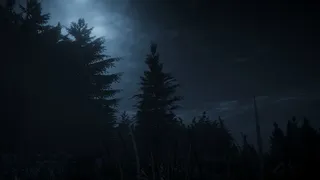 Скриншот 2 к игре Dark Survival