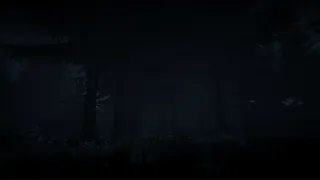 Скриншот 3 к игре Dark Survival
