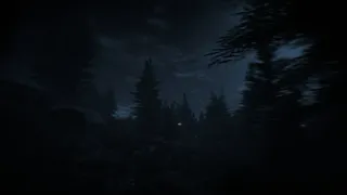 Скриншот 5 к игре Dark Survival