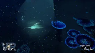 Скриншот 1 к игре Bodies of Water VR