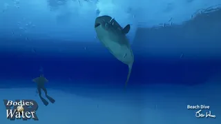 Скриншот 3 к игре Bodies of Water VR