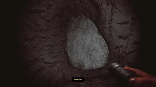 Скриншот 3 к игре Depths Of Horror: Mushroom Day