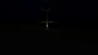 Скриншот 2 к игре Lost in Terra Mora