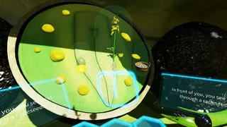 Скриншот 7 к игре VR Plant Journey