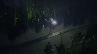 Скриншот 2 к игре Bramble: The Mountain King
