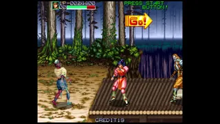 Скриншот 4 к игре Retro Classix: Night Slashers
