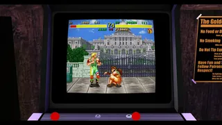 Скриншот 5 к игре Retro Classix: Fighter's History