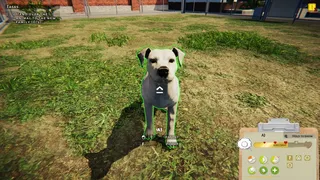 Скриншот 1 к игре Animal Shelter: Prologue