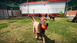 Скриншот 2 к игре Animal Shelter: Prologue