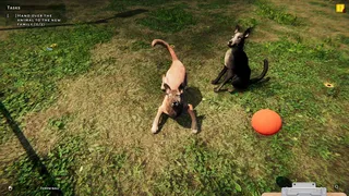 Скриншот 3 к игре Animal Shelter: Prologue