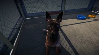 Скриншот 6 к игре Animal Shelter: Prologue