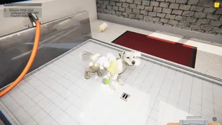 Скриншот 7 к игре Animal Shelter: Prologue