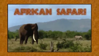 Скриншот 1 к игре African Safari