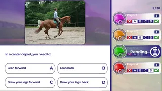 Скриншот 2 к игре Equestrian Training