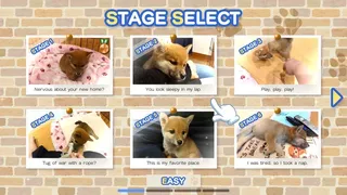 Скриншот 1 к игре Shiba Mekuri 柴めくり