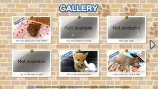 Скриншот 3 к игре Shiba Mekuri 柴めくり