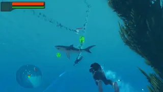 Скриншот 8 к игре Splash King's Tournament