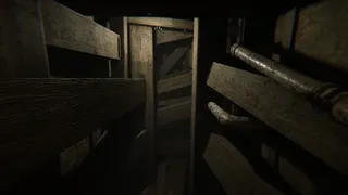Скриншот 7 к игре MADiSON