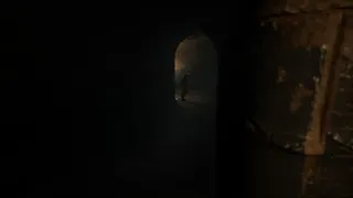 Скриншот 4 к игре Amidst The Darkness
