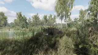 Скриншот 3 к игре On the Hunt