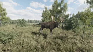 Скриншот 7 к игре On the Hunt