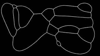 Скриншот 7 к игре PHYSARUM: Slime Mold Simulator