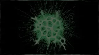 Скриншот 8 к игре PHYSARUM: Slime Mold Simulator