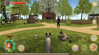 Скриншот 1 к игре Cat Simulator : Animals on Farm