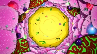 Скриншот 8 к игре Reef Rumble