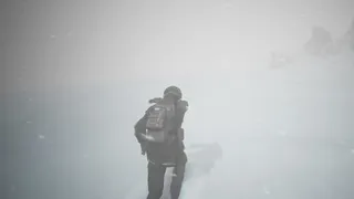 Скриншот 5 к игре The Outbreak: Wilderness