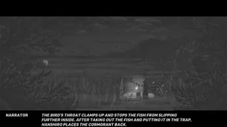 Скриншот 4 к игре The Craft of the Samurai